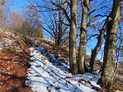 34 Bei alti faggi